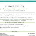 Classic Resume Template in Green - Matching Cover Letter Template - Job Search Journey