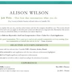 Classic Resume Template in Green - Matching Cover Letter Template - Job Search Journey