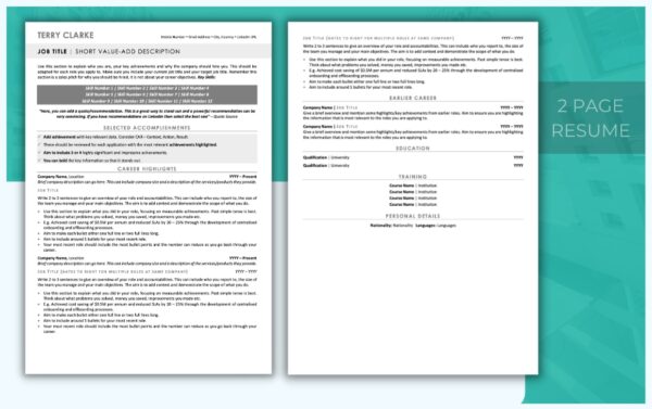 Two Page Modern Executive Resume Template - Grey - Job Search Journey