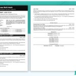Two Page - Professional Resume Template - Black - Job Search Journey