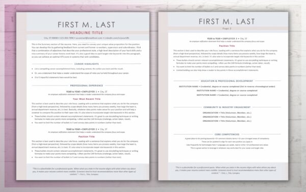 Modern Pastel Resume Template - Job Search Journey - Two