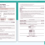 Two Page Senior Attributes Resume Template - Job Search Journey - Red