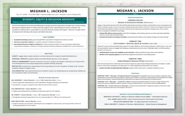 Nonprofit Board Level Resume Template